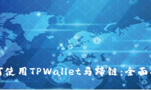 如何使用TPWallet马蹄链：全面指南